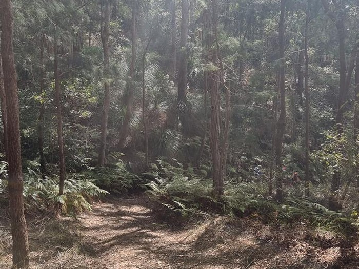 Plans Move for Walking Tracks Amid Shifting Economic Pressures