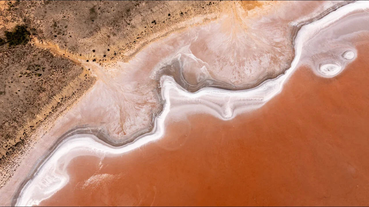Australia Moves to Acquire 74,000-hectare Station to Protect Pink Lakes, Threatened Species in Landmark Industry Deal