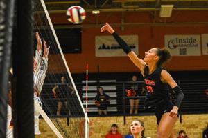 Homecoming Pressure' No Problem for Rock Springs Volleyball