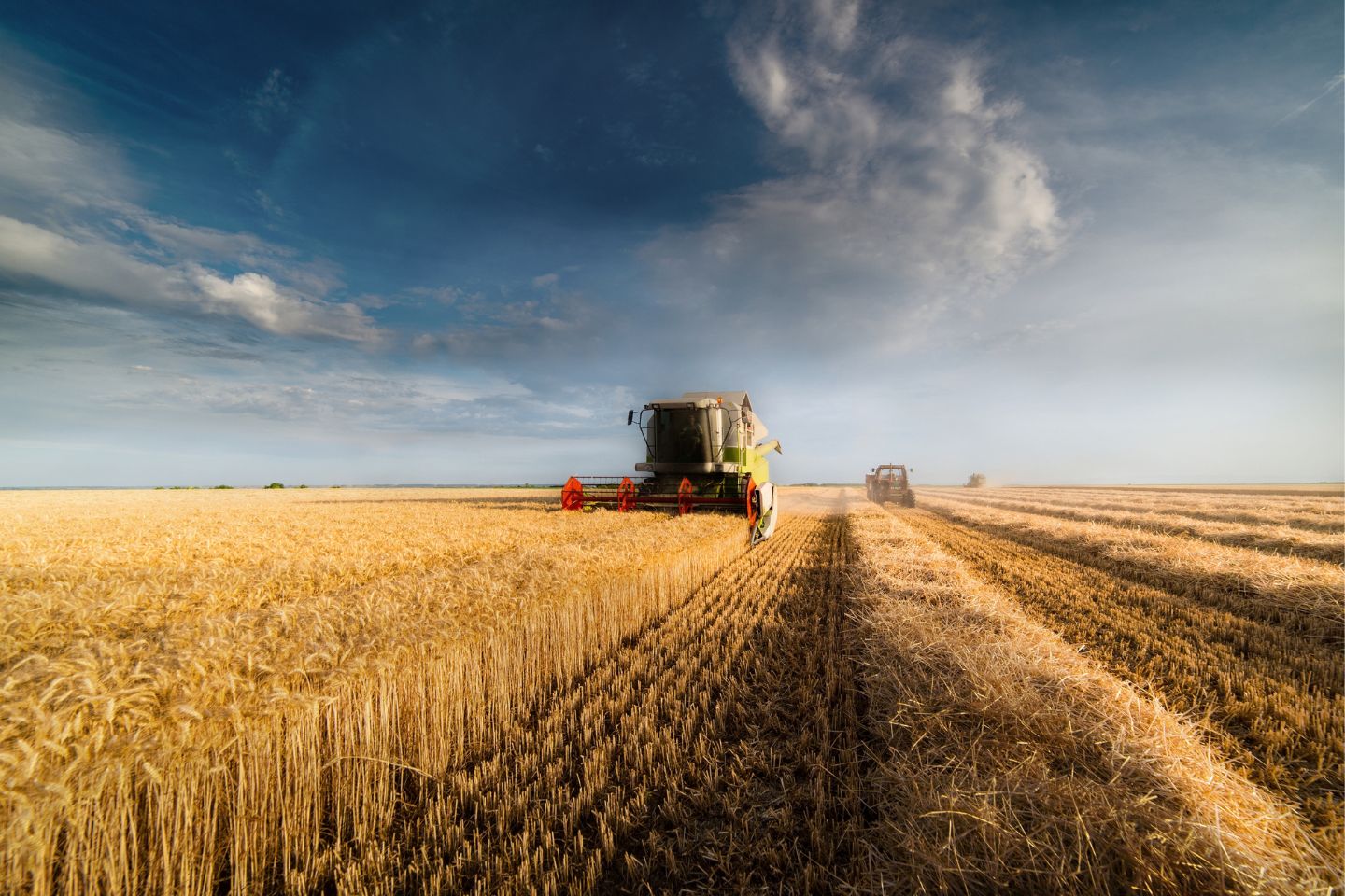 Economic Impact: Bright future for fibres, food and gold