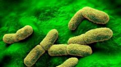 US 'watching Closely' After Plague Researcher Dies in Russia