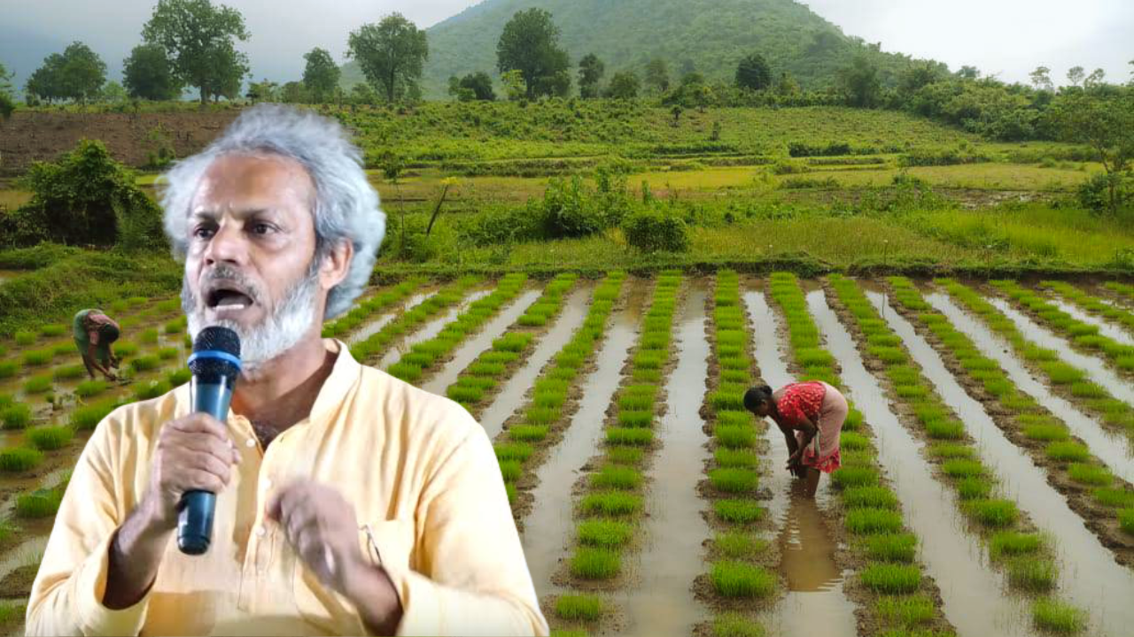 Developing Story: Odisha man left job to build seed bank saving India’s traditional rice varieties