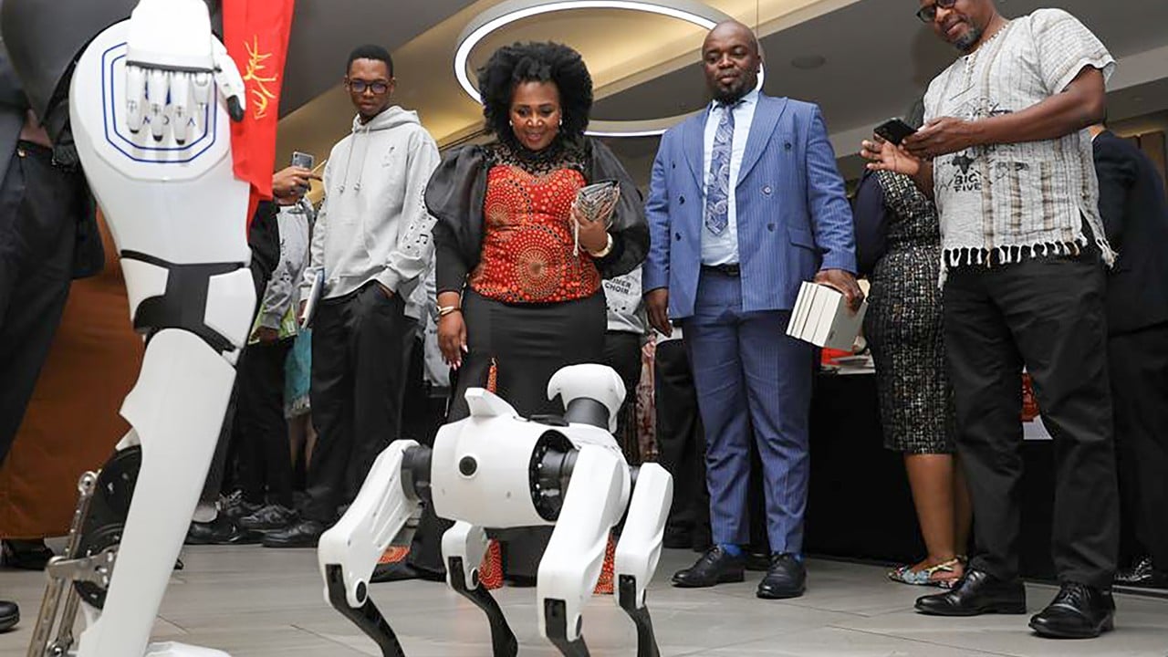 Can China’s Dancing Robots Swing Some New Business Partners in Africa? What Analysts and Data Reveal
