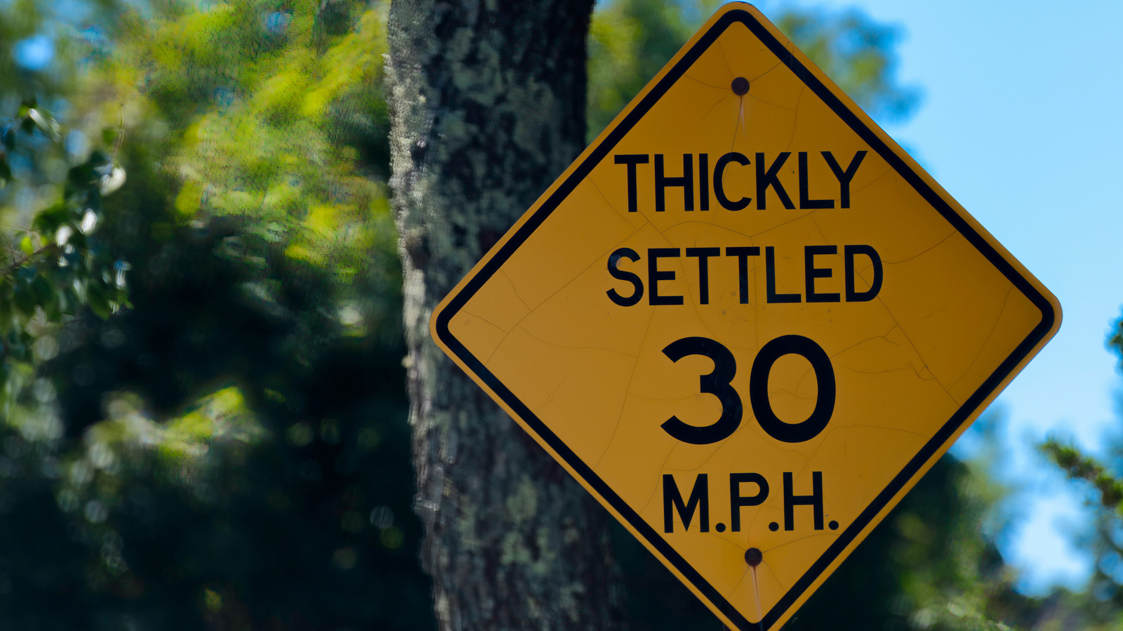 Massachusetts 'Thickly Settled' Signs: The Hidden Warning Every Driver Misses
