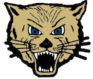 Boys Soccer: L-cats Shut Out CDW Amid Shifting Economic Pressures