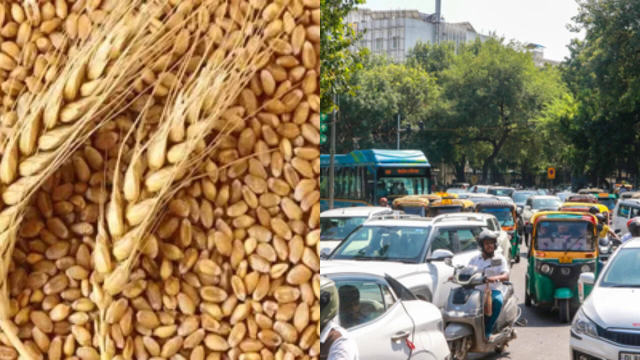 Enterprise Tech Shift: Rabi MSP hike, new green corridor, Delhi AI traffic system: Cabinet's 3 key measures and the Scaling Frontier