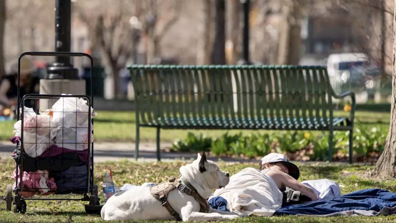 Utah Needs a 'code Red' Policy to Protect the Homeless from Extreme Heat, Report Says