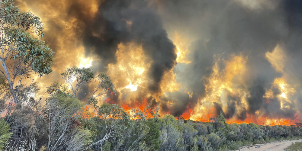 Kealy Concerned With Disaster Recovery Funding Changes in Significant Industry Shift
