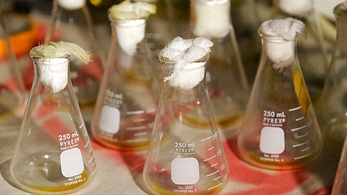 Death in Russian Lab Raises Questions Over Plague Pathogen Bioweapon Research