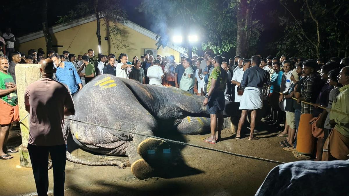 Tusker Pallattu Brahmadathan, WHO Died in a Lightning Strike, Cremated in Keralam