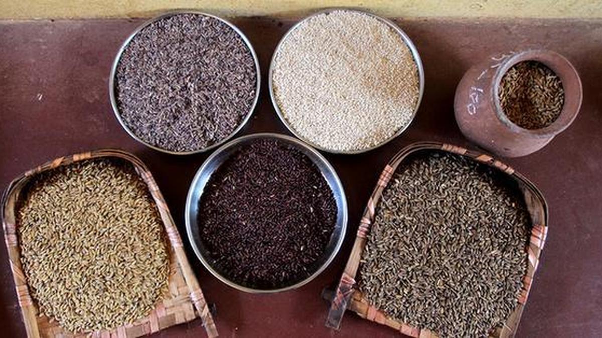 Hi-tech Paddy Seed Warehouse to Open at Alathur in Palakkad, Keralam, on October 6, 2026