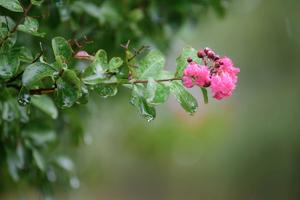 Enterprise Tech Shift: Rain, rain, don't go away... and the Scaling Frontier