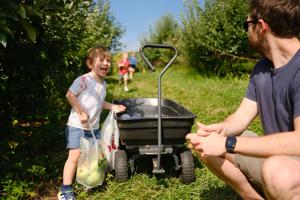 Spring Freeze Devastates Pick-Your-Own Apple Orchards, Yields Plummet