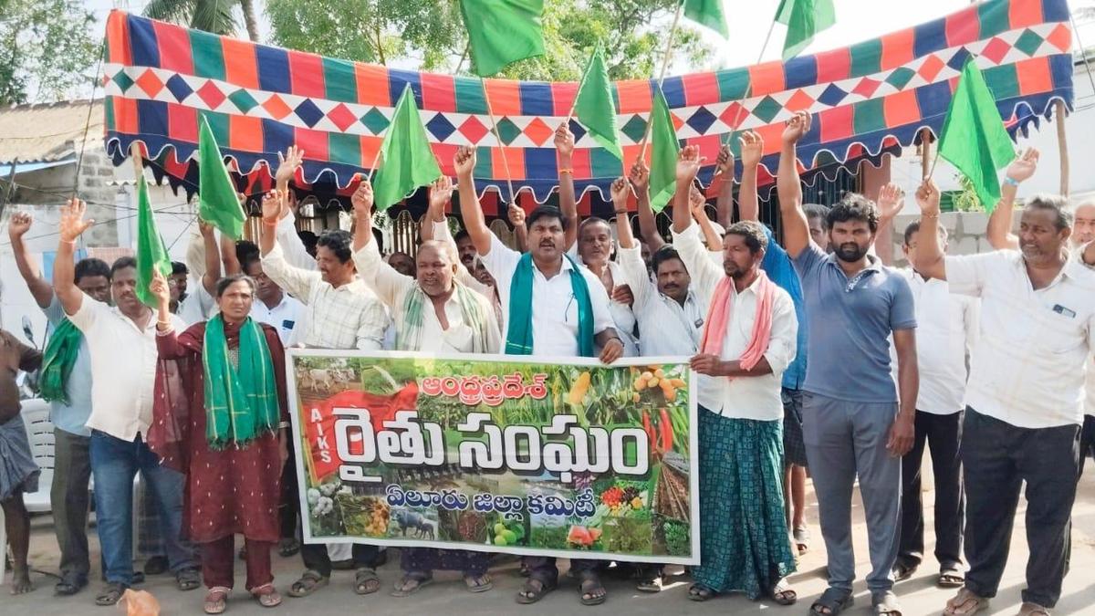 Palm Oil Duty Cut Sparks Farmer Fury in Andhra Pradesh