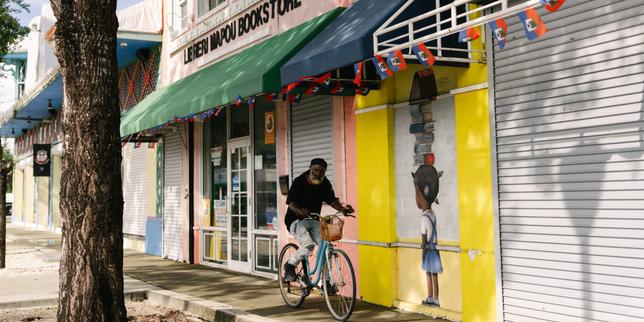 ICE Agents in the US Are Chasing Haitians: 'no One Goes Out Anymore, the Streets and Churches Are Deserted, People Are Afraid of Being Arrested