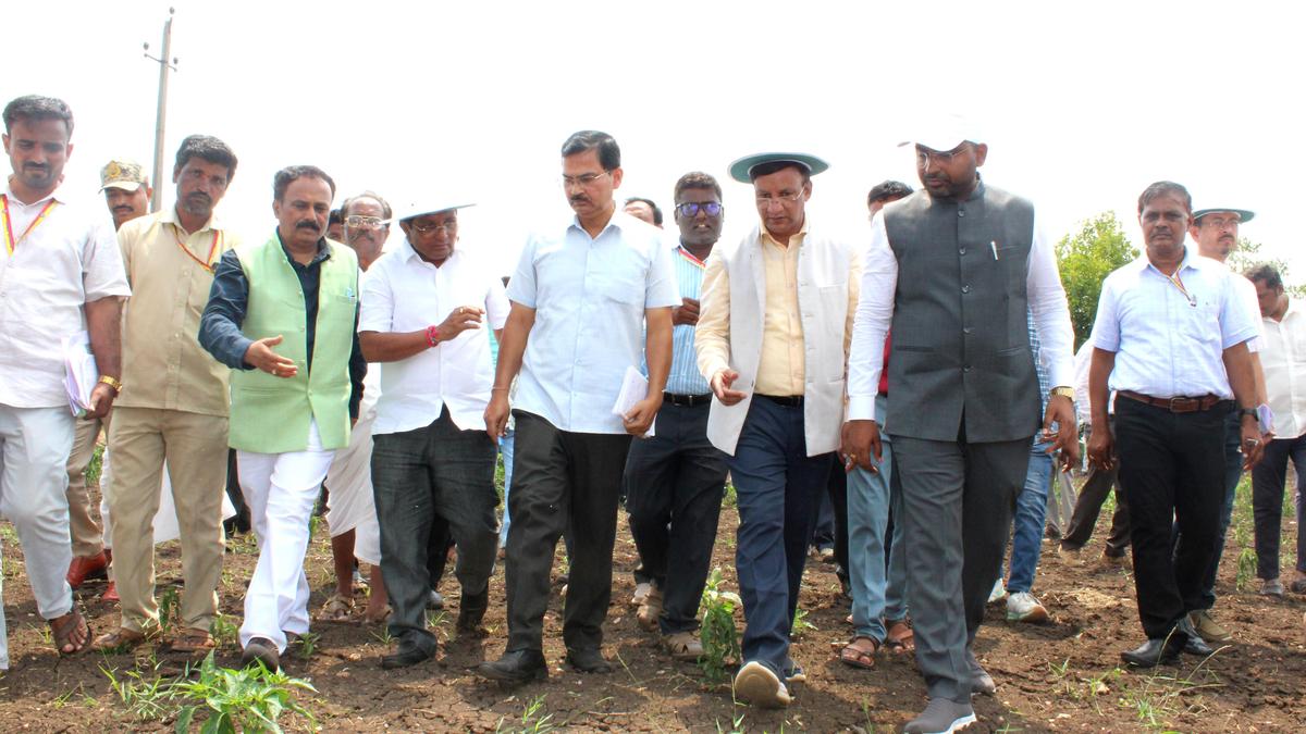 Central Team Visits Bagalkot District as International Observers React