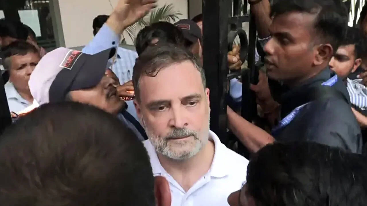 A Skunk': DMK Questions Rahul Gandhi Over Stand on SIR Deletions in Tamil Nadu