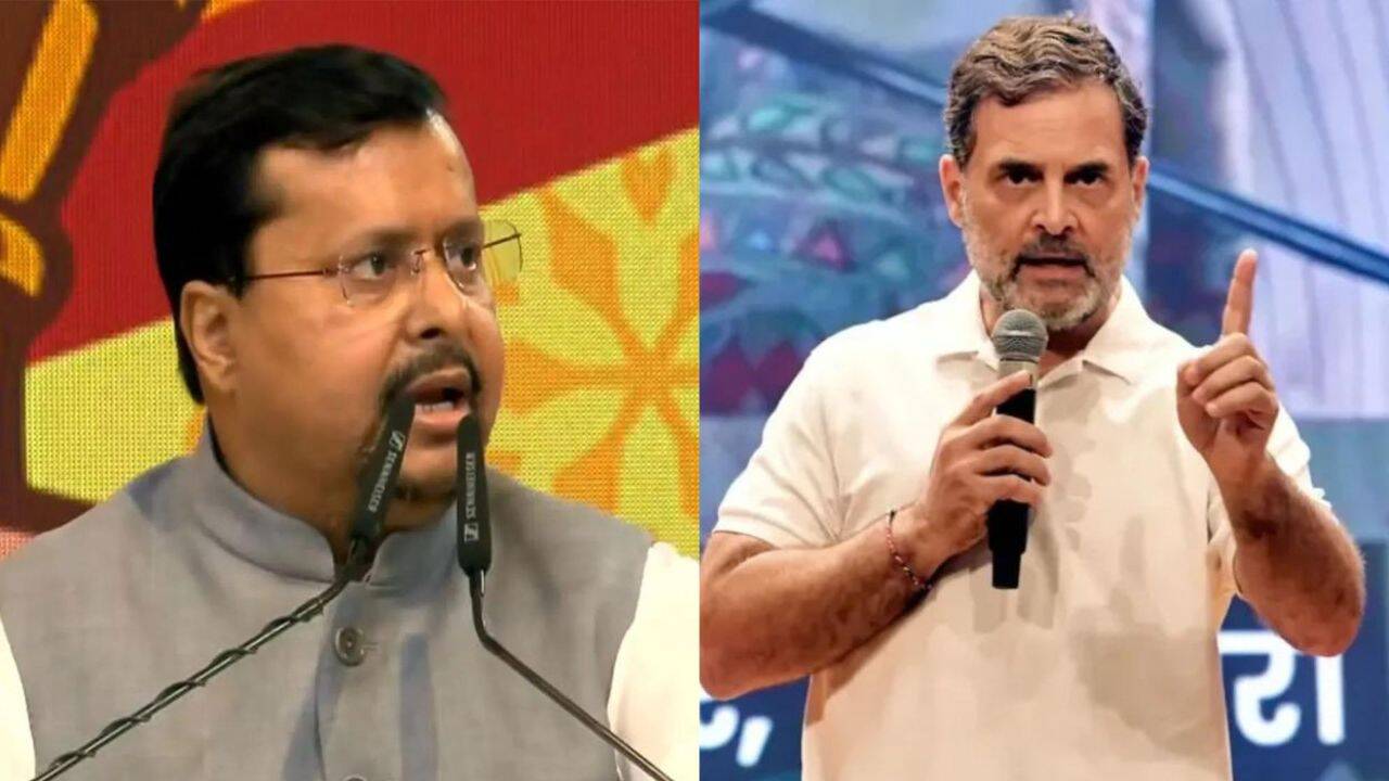 Rahul Working With Anti-social Elements': BJP As Oppn Mps Continue Anti-cec Protests