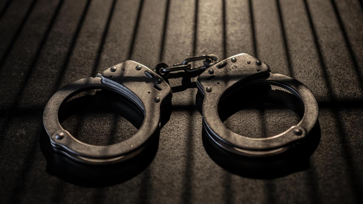 Global Perspective: Five ‘sympathisers’ of banned terror outfit arrested in Thanjavur