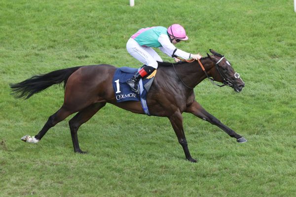 Corporate Strategy: Can anything stop Blue Bolt as one of the horses of the season hunts a fourth successive Group 1? Plus, all the Arc build-up and action from Newmarket and Ascot
