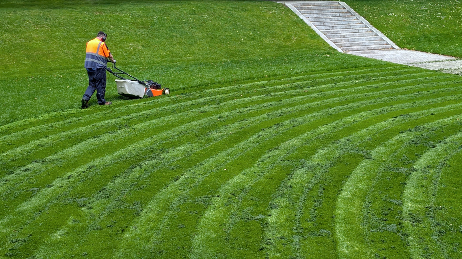 Economic Impact: 11 Of The Best Lawn Mower Models For Beginners