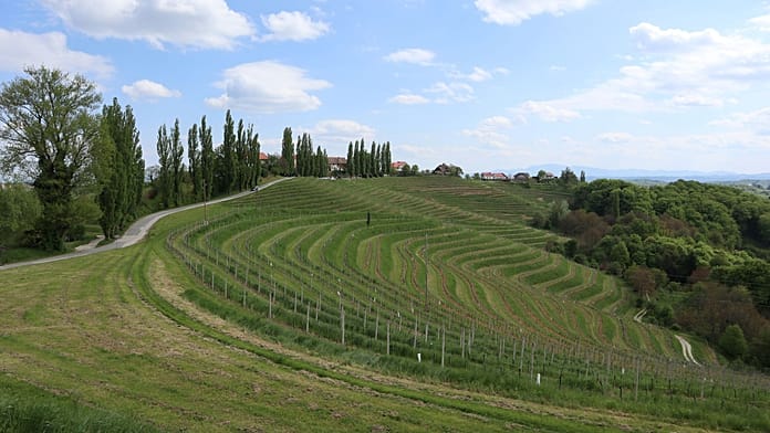 These Are the Best Wine Regions in Europe, With Slovenia Claiming Top Spot Above France and Italy