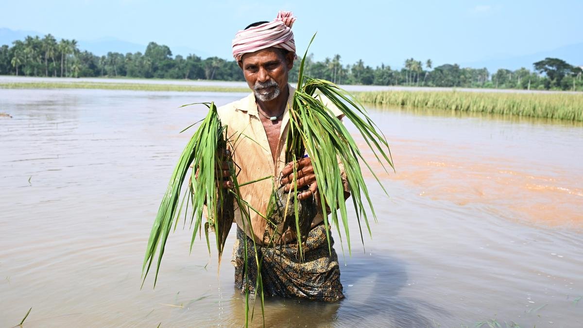 Floods damage crops of 71,796 farmers and 2,405 km of roads in Andhra Pradesh; Godavari rises again