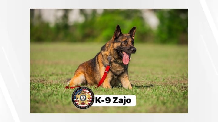 Henry County Sheriff’s Office K-9 injured while law enforcement apprehends suspect
