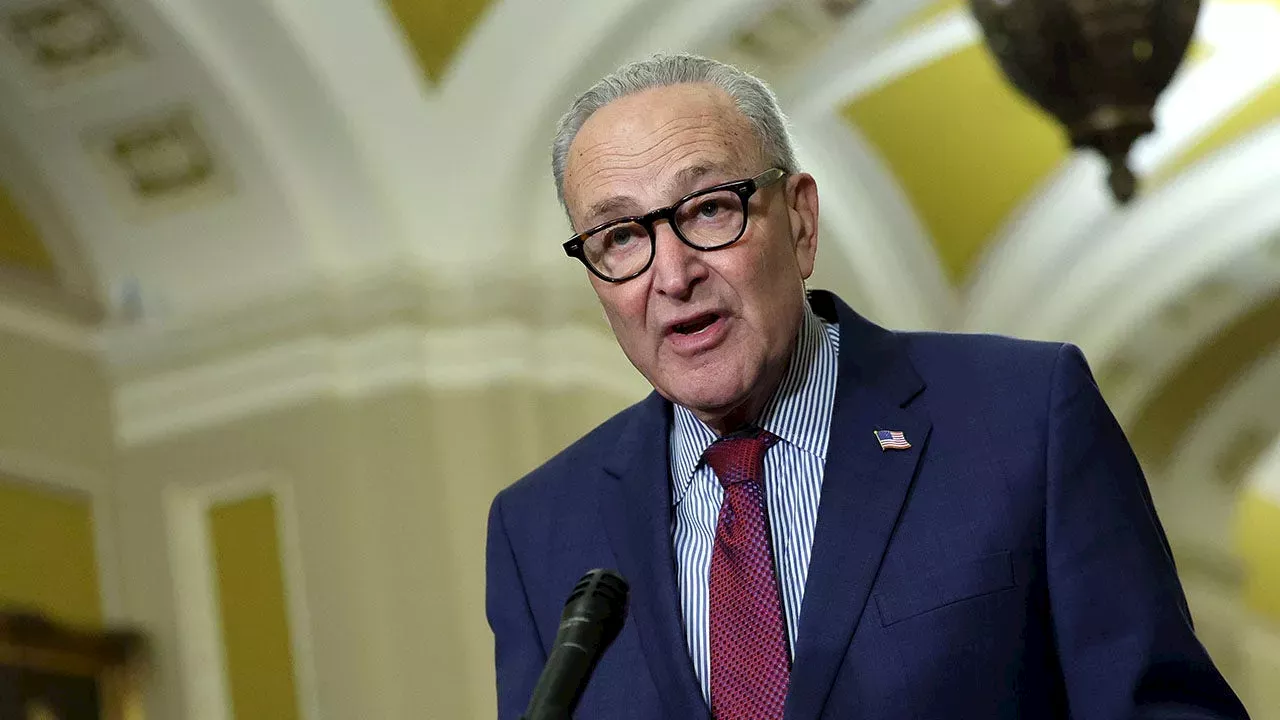 Dems Hand GOP Fresh Midterm Weapon by Opposing Widely Used Voter ID