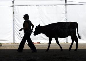 Enterprise Tech Shift: World Dairy Expo puts Madison at center of dairy universe and the Scaling Frontier