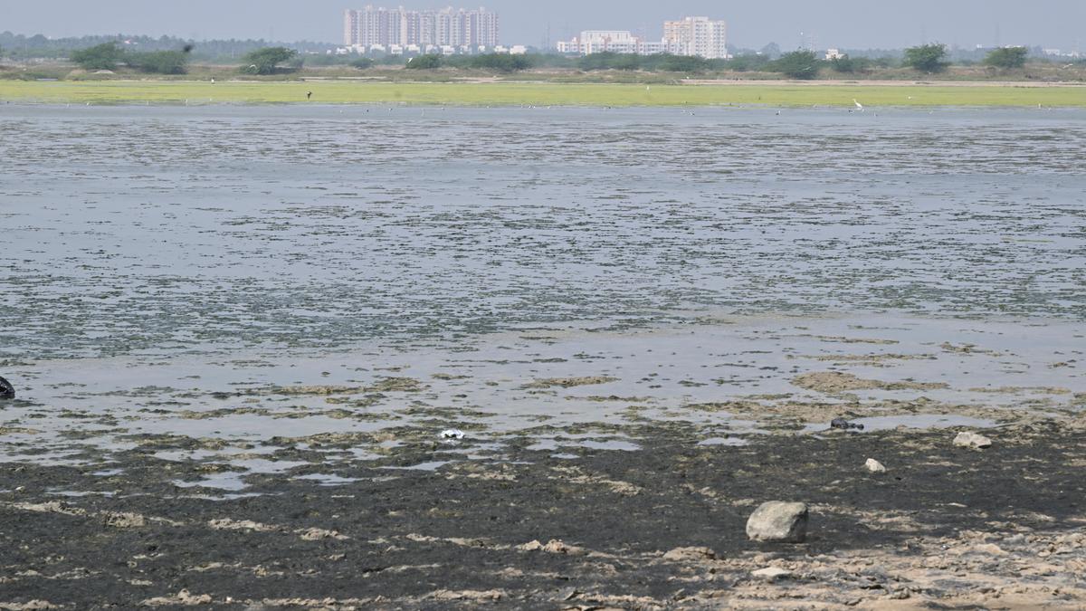 Mamallan Reservoir Sparks Fury: Tamil Nadu Fishing Communities Fight Back Against Controversial Project