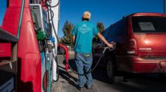 Why Trump Wants to Reduce the Cost of Fuel As the Midterms Loom - Will It Work Has Sparked Heated Debate