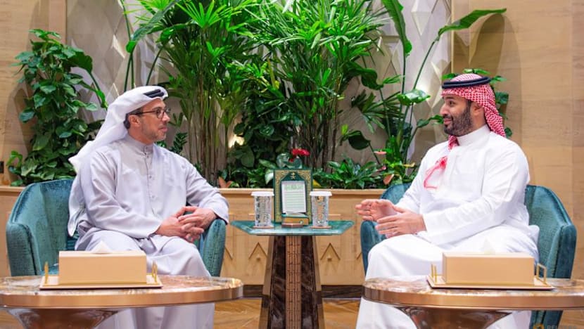 International Briefing: Saudi crown prince, UAE vice president meet in Riyadh: official media