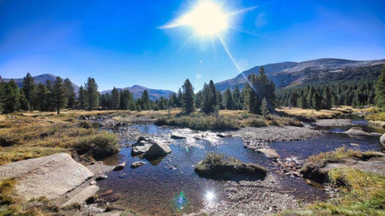 Teacher’s 128-acre Family Retreat Now Protected As Part of Wildlife Corridor
