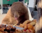 Developing Story: Hitting the sweet spot: bear treats itself to baked goods at Colorado farmers’ market