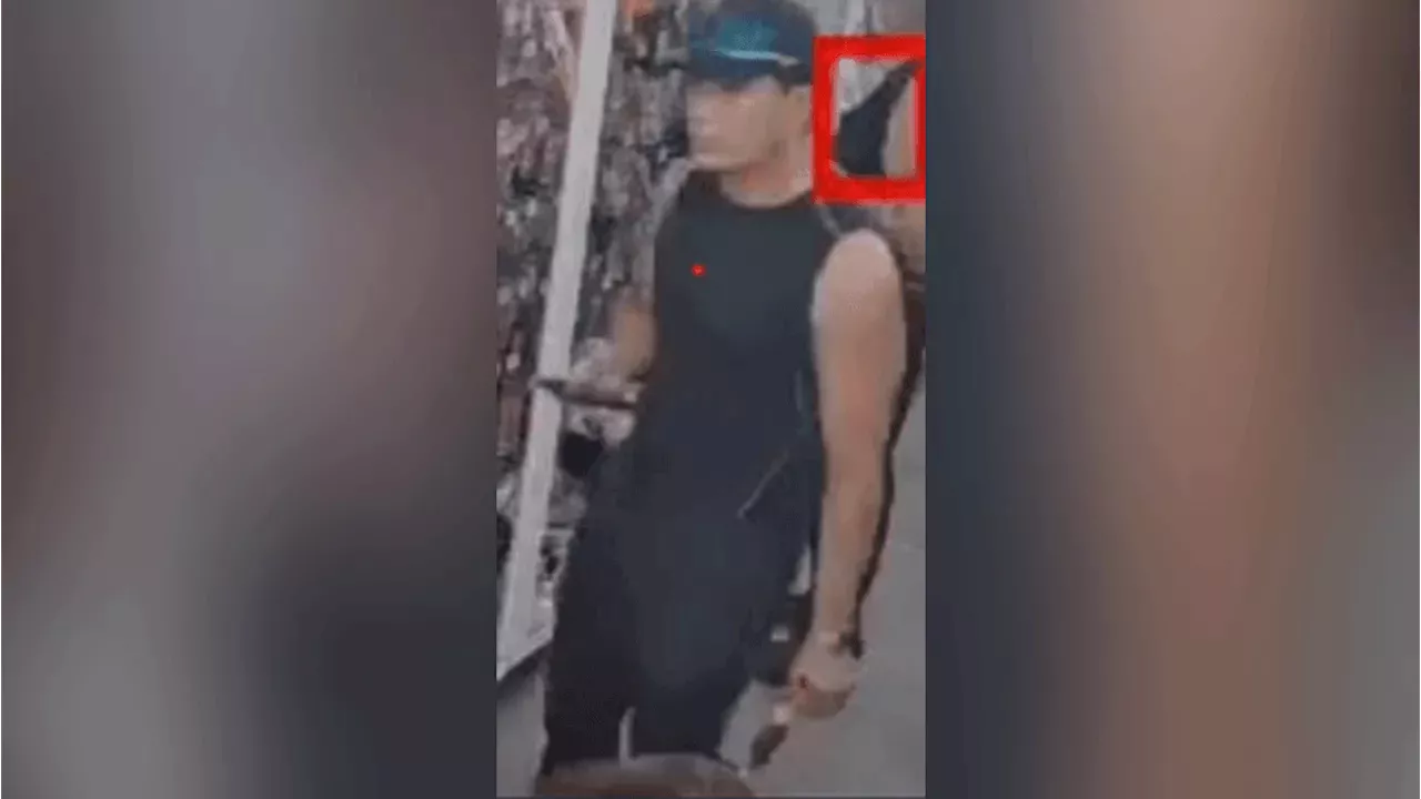 Austin Police Hunt Suspect in Dollar Tree Indecent Assaults