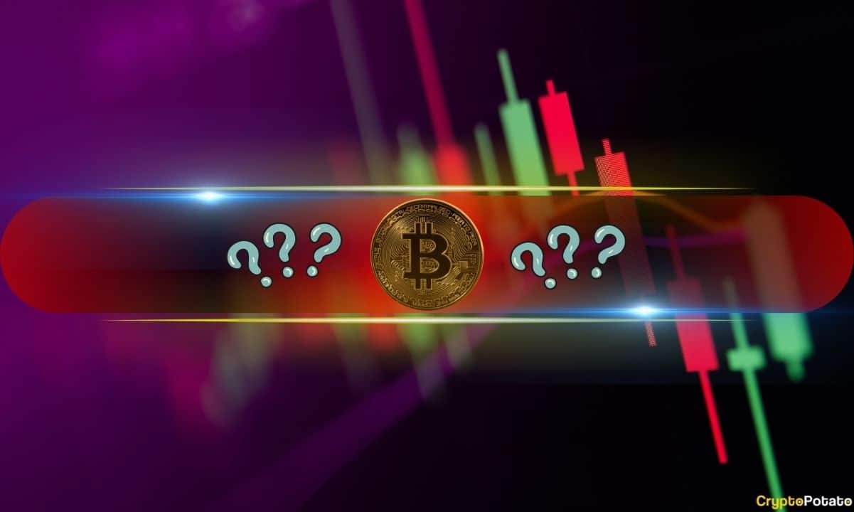 These Altcoins Bleed the Most After Bitcoin’s Sudden Drop Below $84k: Market Watch
