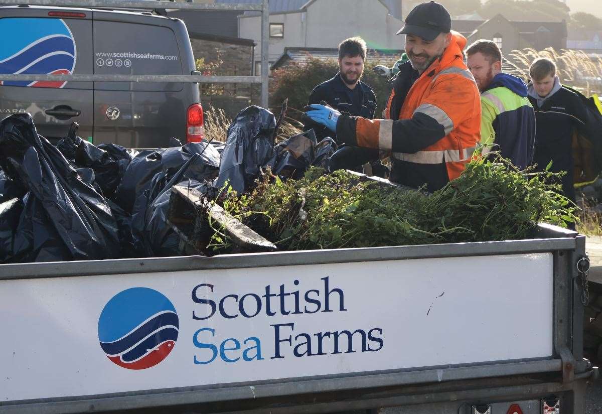 Corporate Strategy: Salmon farmers find fishing nets, ropes, plastic bottles and driftwood during annual beach clean