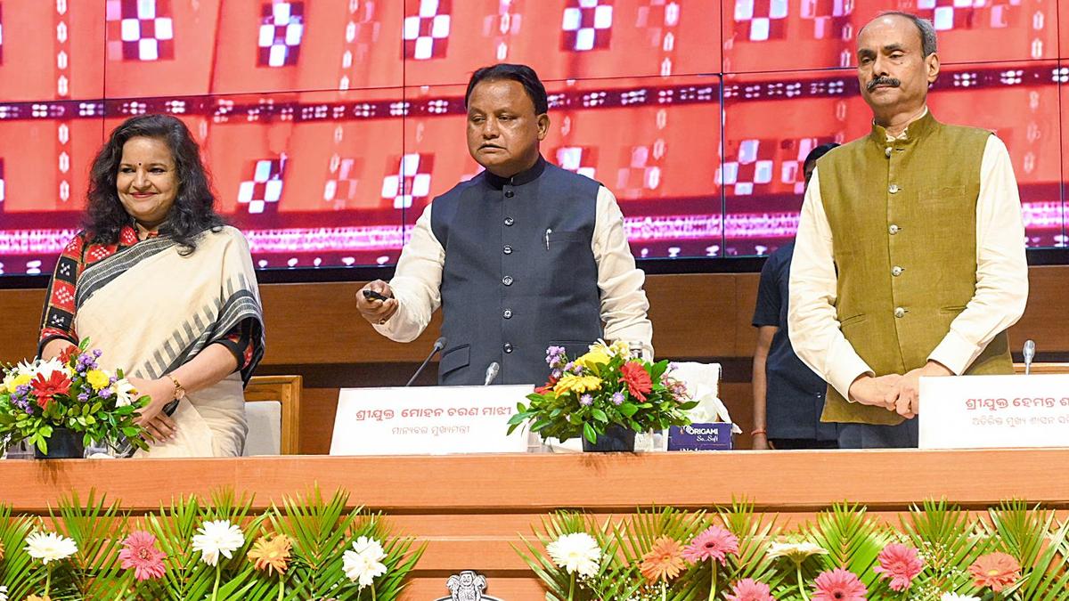 Odisha's Tribal Development Councils Defunct, Vice-Chairpersons Allege