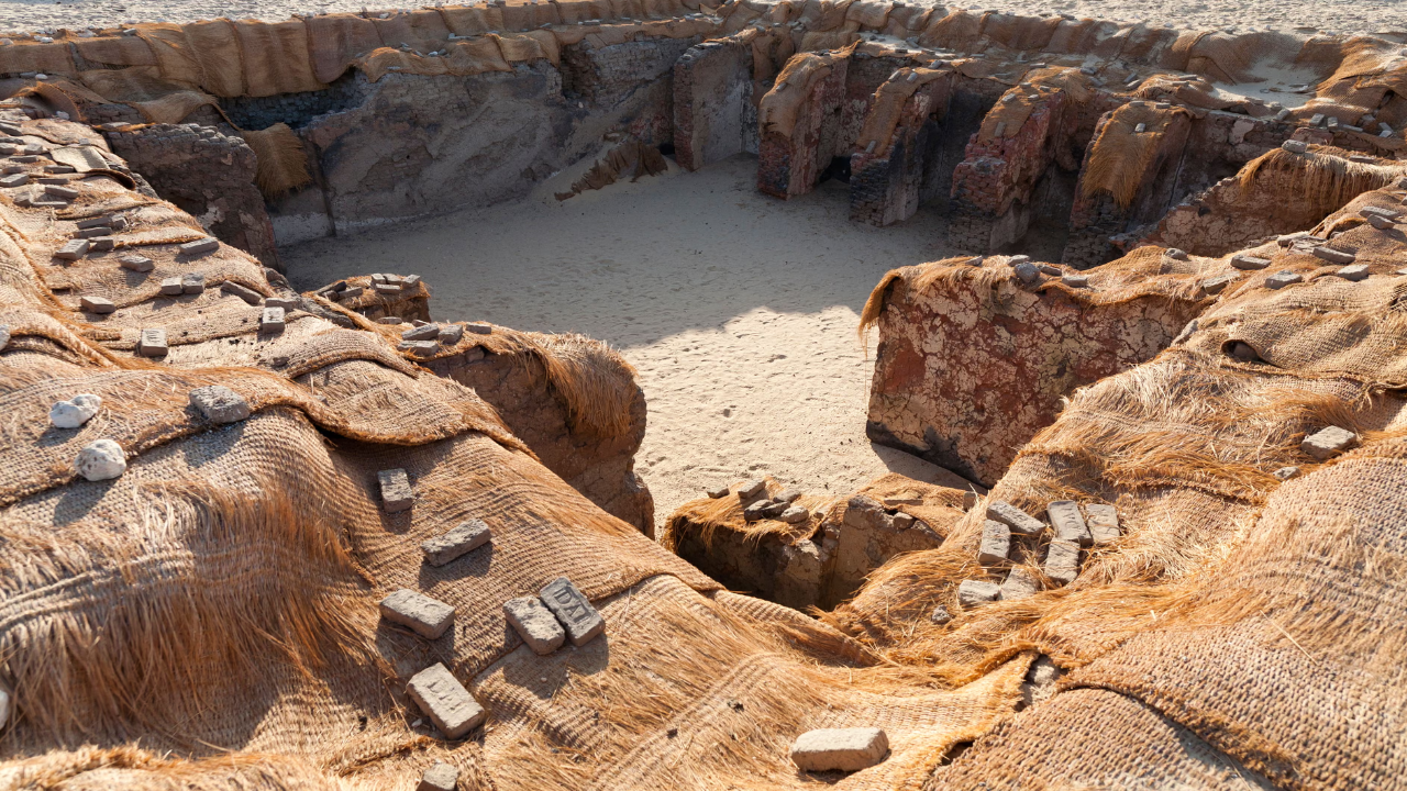 Egypt’s Earliest Kings Were Buried With Hundreds of Servants; 100 Years Later, Skull Fractures Are Reviving the Theory That Some Were Sacrificed