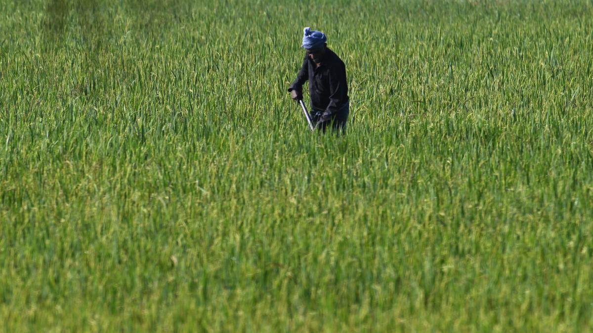 Vetrix 2026 Opens New Avenues for Agri-entrepreneurs Following Fast-Moving Developments
