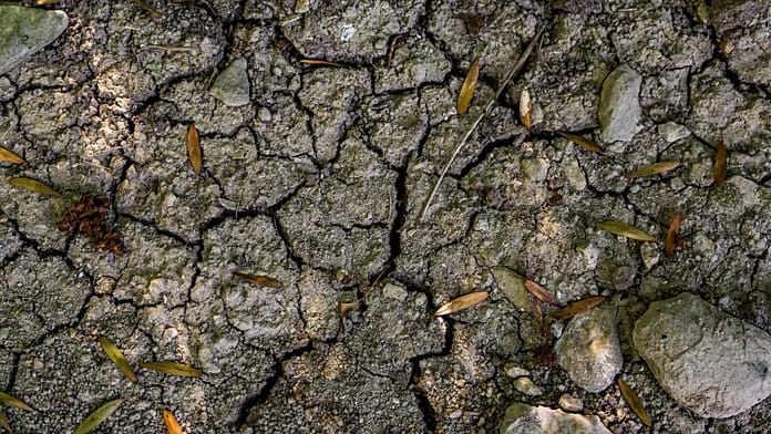 Drought: Groundwater Levels in France Remain Very Low as International Observers React
