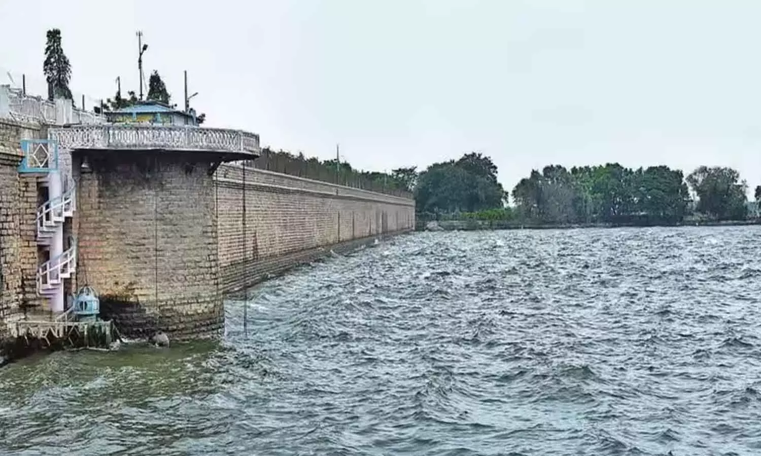 Manjeera takes centre stage on World Rivers Day
