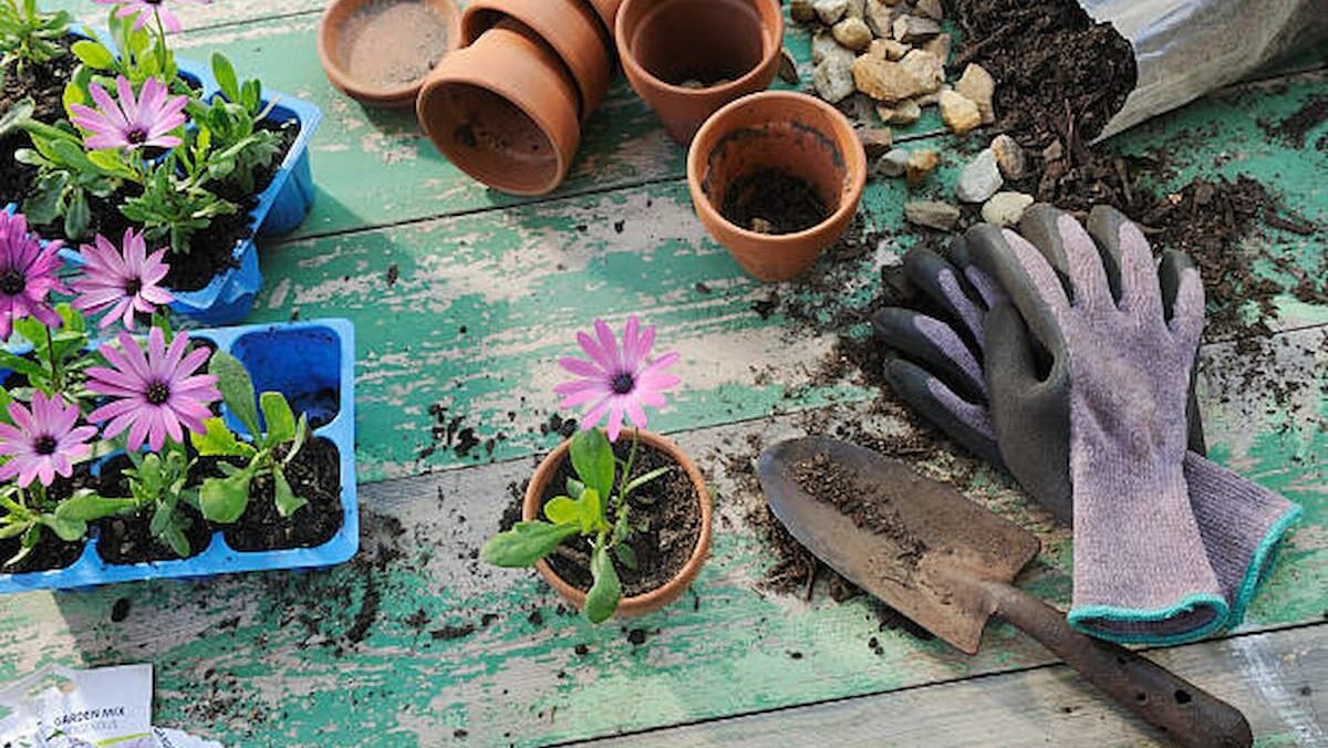 Economic Impact: Colorado Springs area home and garden events starting Oct. 3