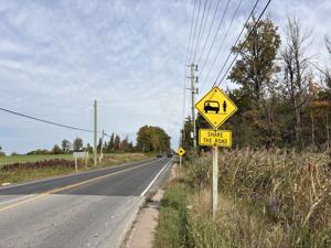 Fatal Vaughan Hit-and-Run: Police Tell Driver 'You Knew Someone Was Struck' — Turn Yourself In Now