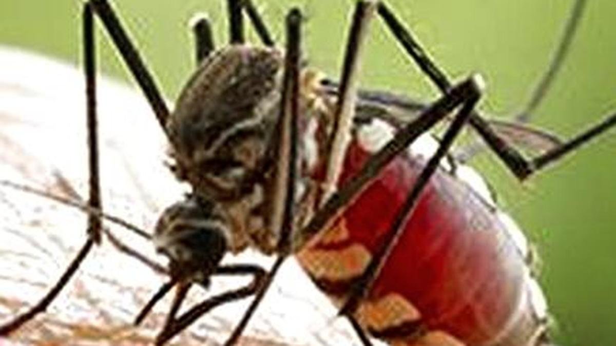 Dengue Early Warning System Developed in Kerala to Forecast Outbreaks