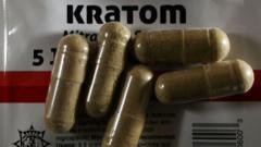 What is kratom, the 'gas station heroin' alarming officials in the US?