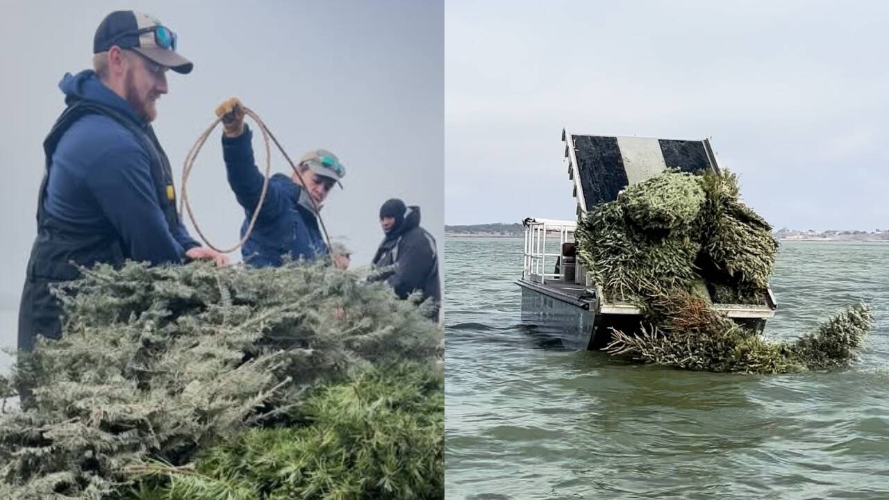Developing Story: Texas turns 160 donated Christmas trees into underwater fish reef