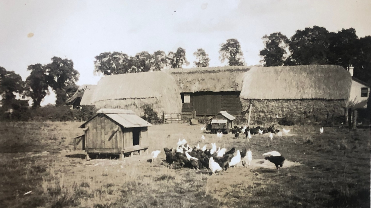 International Briefing: Essex family left 50 farm acres wild; it inspired 200-acre nature recovery plan