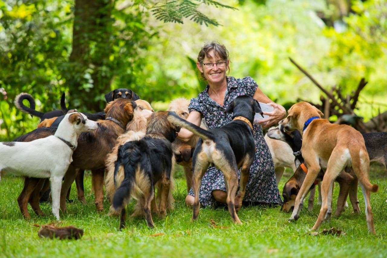 My friend grosses $300,000 a year with her pet-sitting business. She pays herself $50,000. Should I do the same?